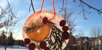 Snow Crystal Suncatcher