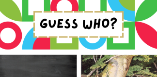 Guess Our Eighth Adoptable Animal!