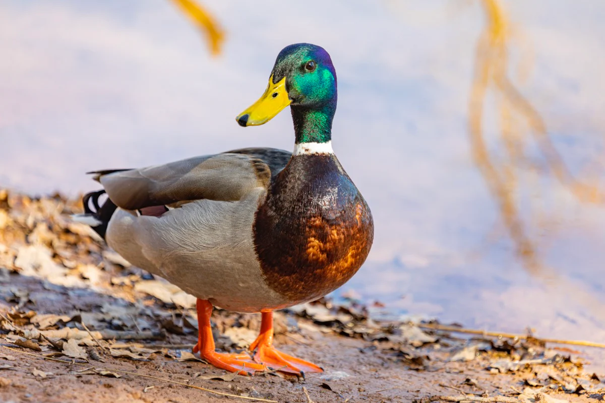 GettyImages-1468554250Large