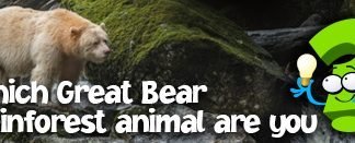 Which Great Bear Rainforest animal are you?
