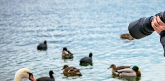 Pawsitively Hilarious Jokes #20