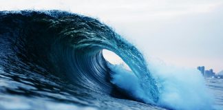 Pawsitively Hilarious Jokes #23