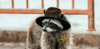 Sheriff Pickles and the city villains!