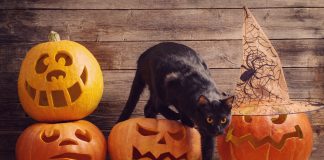 You can be anything this Halloween, be a Myth-buster!