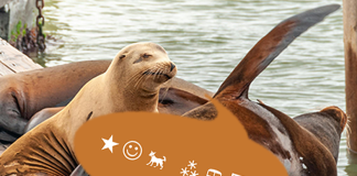 Pun-tastic Riddles #VII