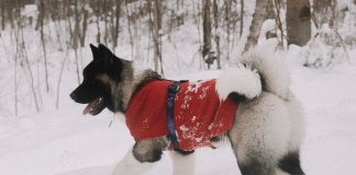 Top 5 colorful ways to stay warm!