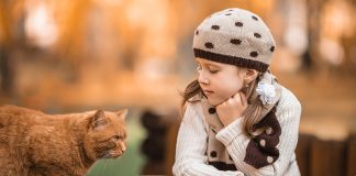 Top Five Insulation Champions