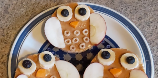 Rice Cake Owls