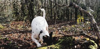 I Spy…a Scavenger Hunt Showdown!