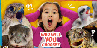 Incredible Animal Stories But Which One Is Your Fave?