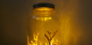 Silhouette in a Jar