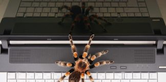 Pawsitively Hilarious Jokes #49