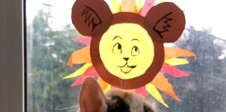 Suncatcher Lion