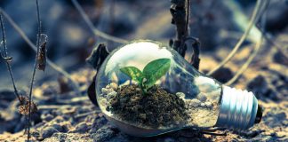 Ultimate Green Energy Showdown