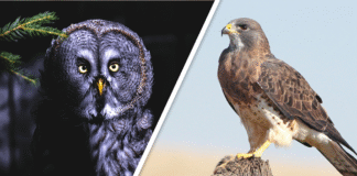 Would you Rather #94