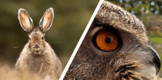 Would you Rather #98