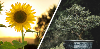 Would you Rather #84