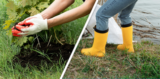 Would you Rather #86