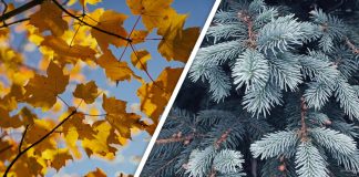 Would You Rather #23