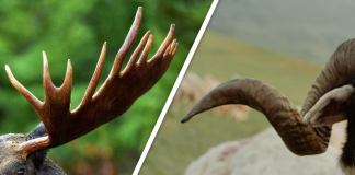 Would you Rather #85