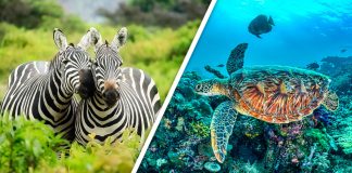 Would You Rather #22