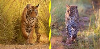 Would You Rather #16