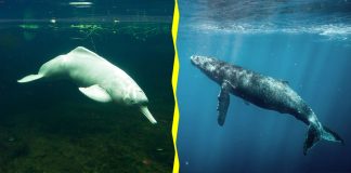 Would You Rather? #7