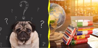 Would You Rather? #2