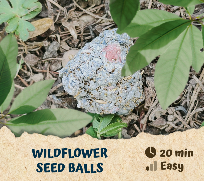 raspberry plant fertilizer Raspberry Fertilzer  Going Greens