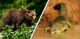 Would you Rather #92