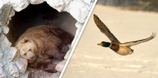 Would you Rather #74