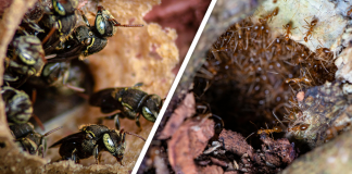 Would you Rather #79