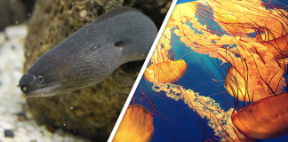 Would you Rather #58