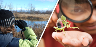 Would you Rather #68