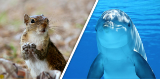 Would you Rather #70