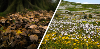 Would you Rather #55