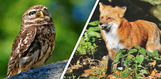 Would you Rather #71