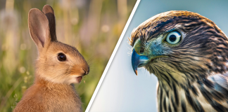 Would you Rather #72