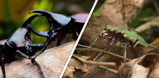 Would you Rather #54