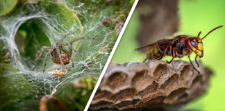 Would you Rather #51