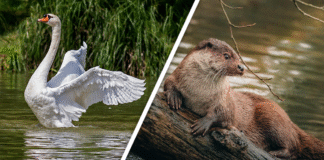 Would you Rather #93