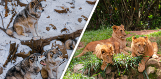 Would you Rather #53