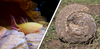 Would you Rather #69