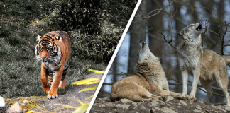 Would you Rather #78