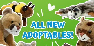 Which New Animal Will You Adopt?