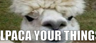 Funny Talking Animals – Roadtrip Edition!