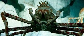 Top Ten Big Scary Looking Animals