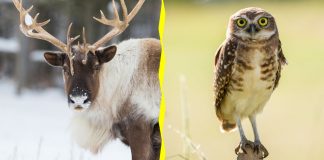 Would You Rather? #5