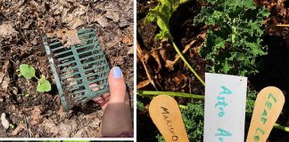 Handy Tips for a Green Garden