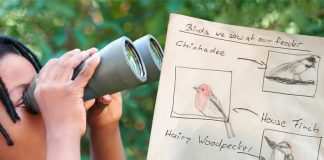 Become a Local Bird Guide